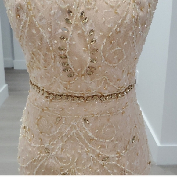 NWT Peach Nude Gown - Picture 12 of 14
